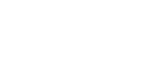 Microsoft Partner